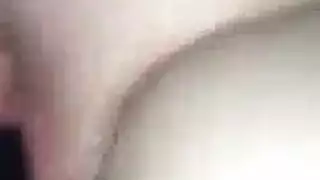 بوصة الديك ترانزيستور مزيت