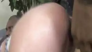 ديسكو الهبي مزرعة