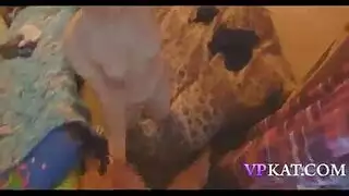 براندي لوف ونيكي ثورن في بورن سحاقي صريح
